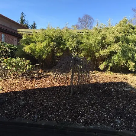 Bagsvaerd * Hareskovby